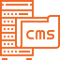 Cms Development